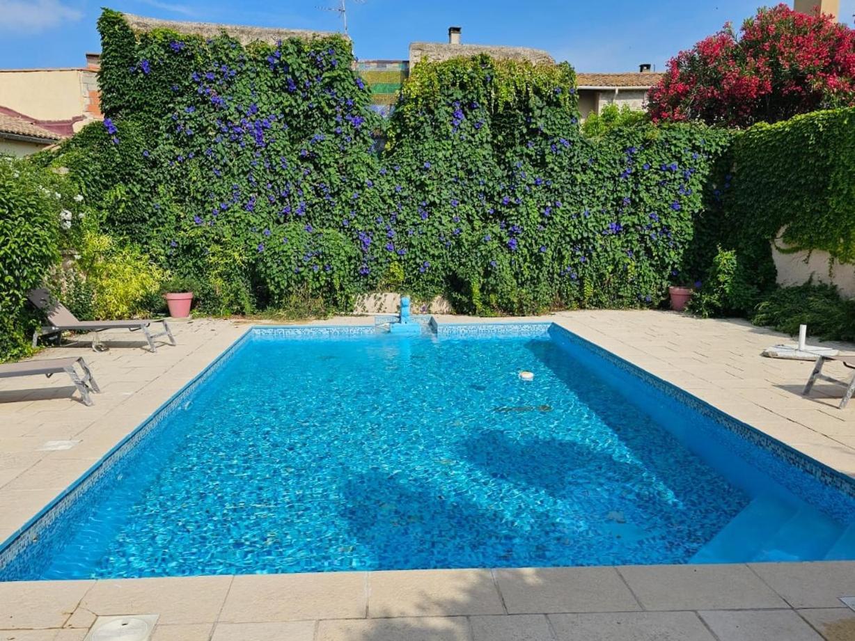 Occ34 - Capestang - Villa Quinlan 外观 照片